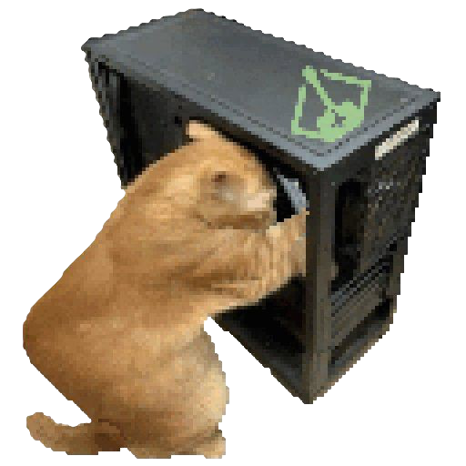 a cat fixing a pc